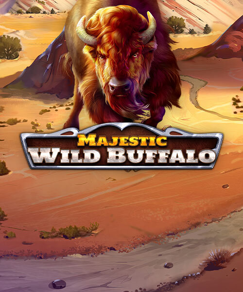 Majestic Wild Buffalo